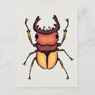 Carte Postale Entomologie du scarabée