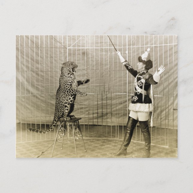 Carte Postale Entraîneur de cirque vintage (Devant)