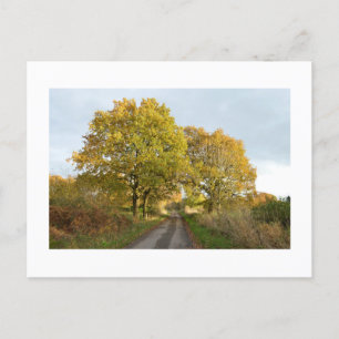 Carte Postale Entre les chênes : Cheshire rural