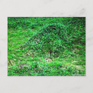 Carte Postale Entrée de Faery I