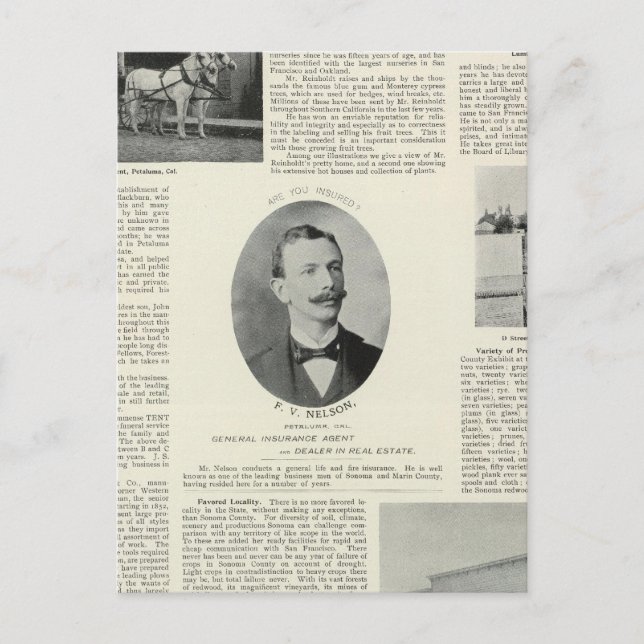 Carte Postale Entreprises de Petaluma, Californie (Devant)