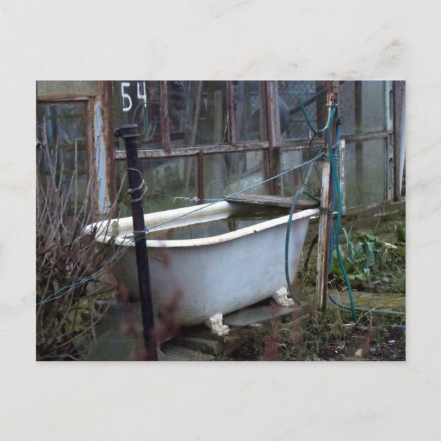 Carte Postale Envie d'un bain ? (Devant)