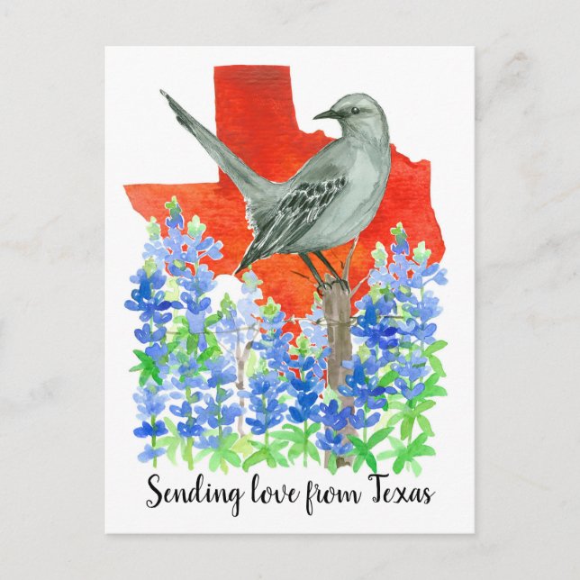 Carte Postale Envoi d'amour au Texas Mockingbird Bluebonnets (Devant)