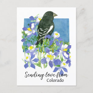 Carte Postale Envoi D'Amour De Colorado Lark Bunting Columbines