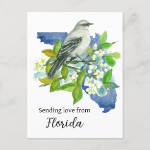 Carte Postale Envoi D'Amour De Floride Mockingbird Orange