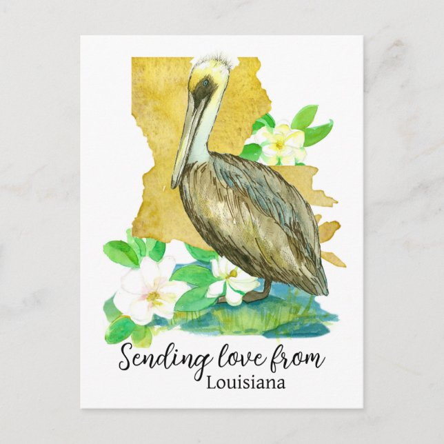 Carte Postale Envoi d'amour de Louisiana Pelican Magnolia (Devant)