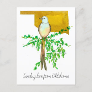 Carte Postale Envoi d'amour de Oklahoma Scissor tail Flycatcher