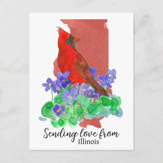 Carte Postale Envoi D'Amour De Violets Cardinaux De L'Illinois (Devant)