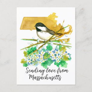 Carte Postale Envoi d'amour Massachusetts Chickadee Mayflower