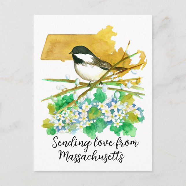 Carte Postale Envoi d'amour Massachusetts Chickadee Mayflower (Devant)
