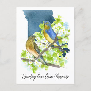 Carte Postale Envoi d'amour Missouri Bluebirds Fleur Hawthorn