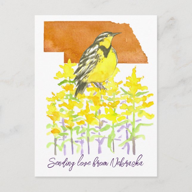Carte Postale Envoi d'amour Nebraska Meadowlark Goldenrod Fleurs (Devant)