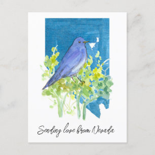 Carte Postale Envoi d'amour Nevada Bluebird Sagebrush