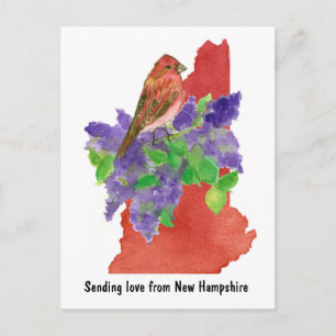Carte Postale Envoi d'amour New Hampshire Purple Finch Lilac