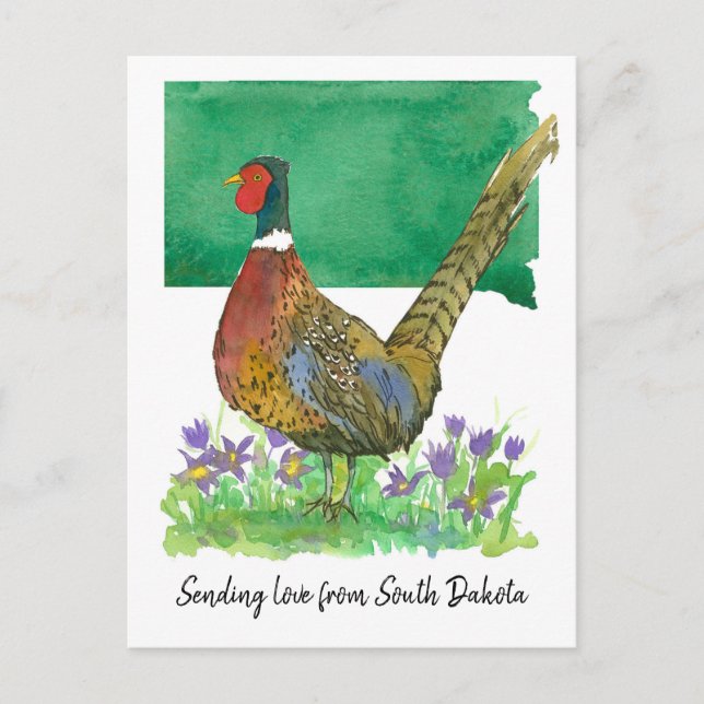 Carte Postale Envoi d'amour South Dakota Pheasant Pasque Flower (Devant)