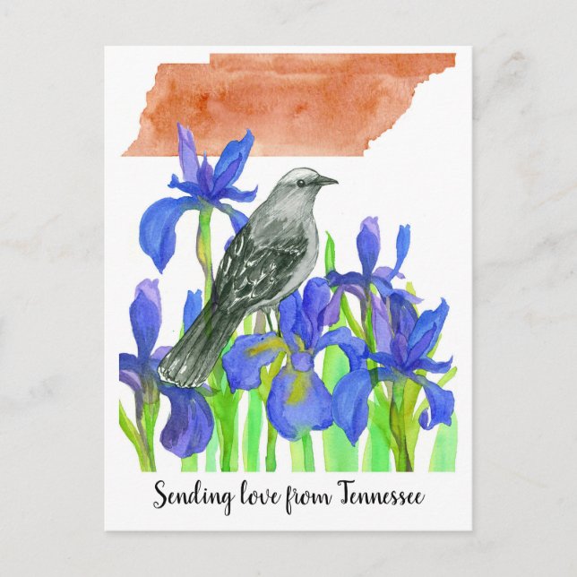 Carte Postale Envoi d'amour Tennessee Mockingbird Iris Fleur (Devant)