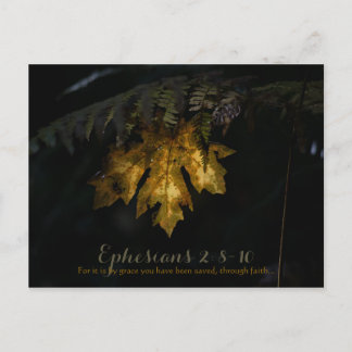 Carte Postale Éphésiens