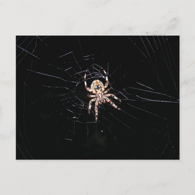 CARTE POSTALE ÉPIDON DANS L'ESPRIT (Devant)