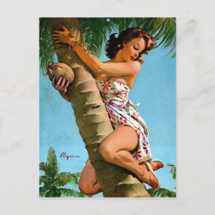Carte Postale Épingle de coco vers le haut