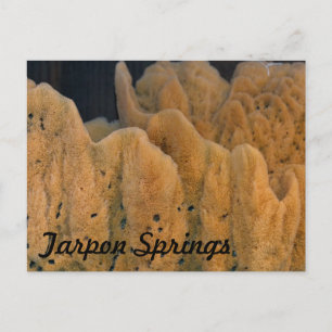 Carte Postale Éponge de Tarpon Springs