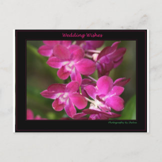 Carte Postale Épouser un