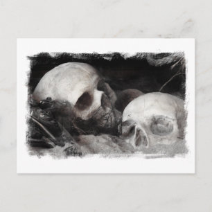 Carte Postale Épouses crâniennes