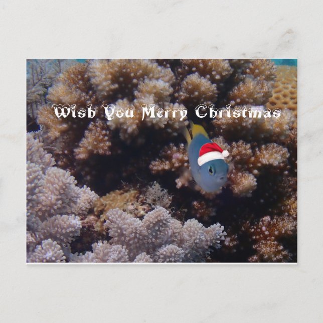 Carte Postale Épouvantable (Devant)