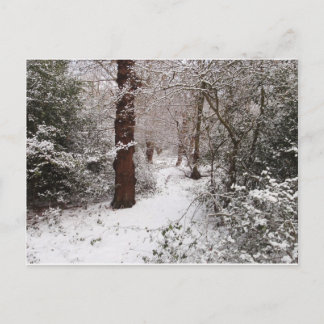 Carte Postale Epping Forest dans la neige.