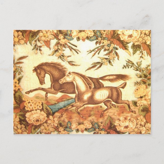 Carte postale équestre 1 de cheval (Devant)
