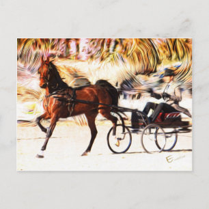 Carte Postale équestre   Flames