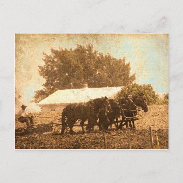 Carte Postale Équipe d'Amish (Devant)