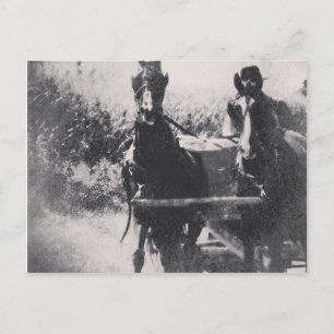 Carte Postale Équipe de chevaux #cheval #amish