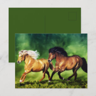 Carte Postale Équipe de rêve - Chevaux islandais