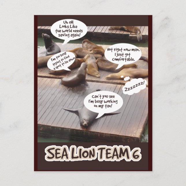 Carte Postale Équipe de Sea Lion Six (Devant)