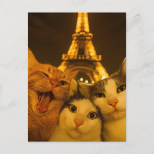 Carte Postale Équipe de selfie de chat de nuit de Paris amoureus