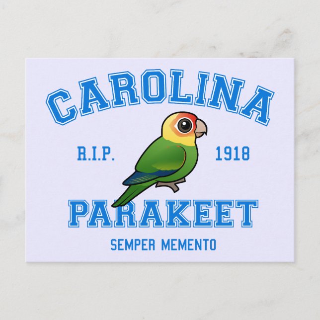 Carte Postale Équipe Parakeet (Devant)