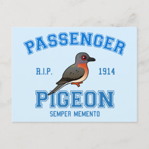 Carte Postale Équipe Passager Pigeon