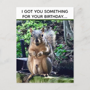 Carte Postale Equirrel Drôle Deez Nuts Anniversaire Inapproprié