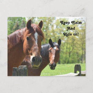 Carte Postale Équitation