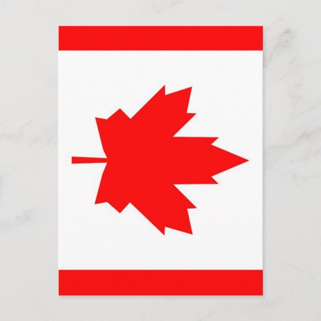 Carte Postale Érable canadien (Devant)