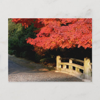 Carte Postale érable rouge