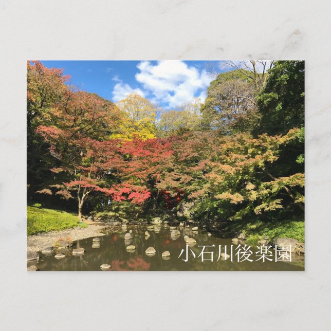 Carte Postale Érables colorés par Étang (Devant)
