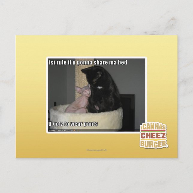 Carte Postale ?ère règle si u allant partager le lit de mA (Devant)