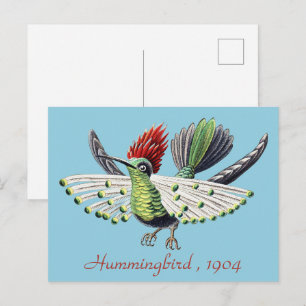 Carte Postale Ernst Haeckel Colibri Coloré Art de la Nature