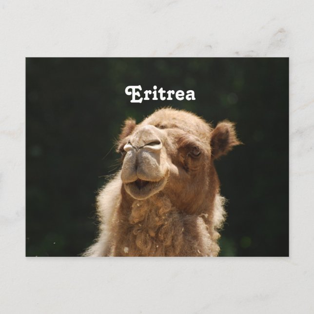 Carte Postale Érythrée (Devant)