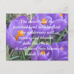 Carte Postale Esaïe 35:1-2 ~ Le Crocus
