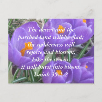 Carte Postale Esaïe 35:1-2 ~ Le Crocus