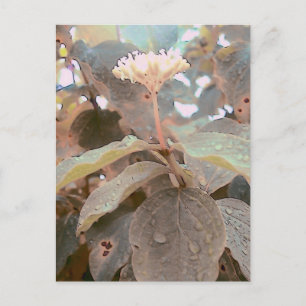 Carte Postale Ésaïe 41:13