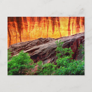 Carte Postale Escalante Neon Canyon et Foliage   Utah