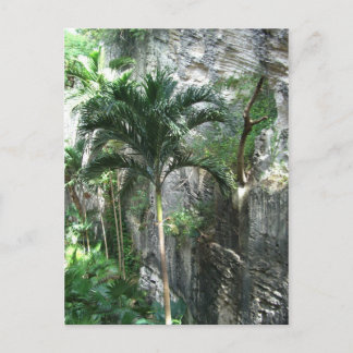 Carte Postale Escalier de la Reine